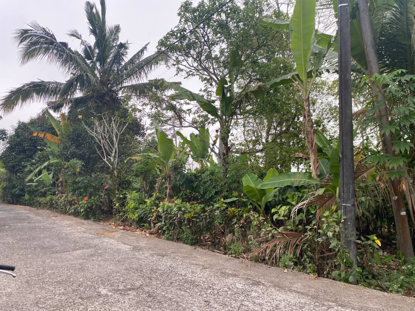 120 ARE LAHAN LUAS PINGGIR JALAN, KAWASAN PUPUAN - TABANAN 5
