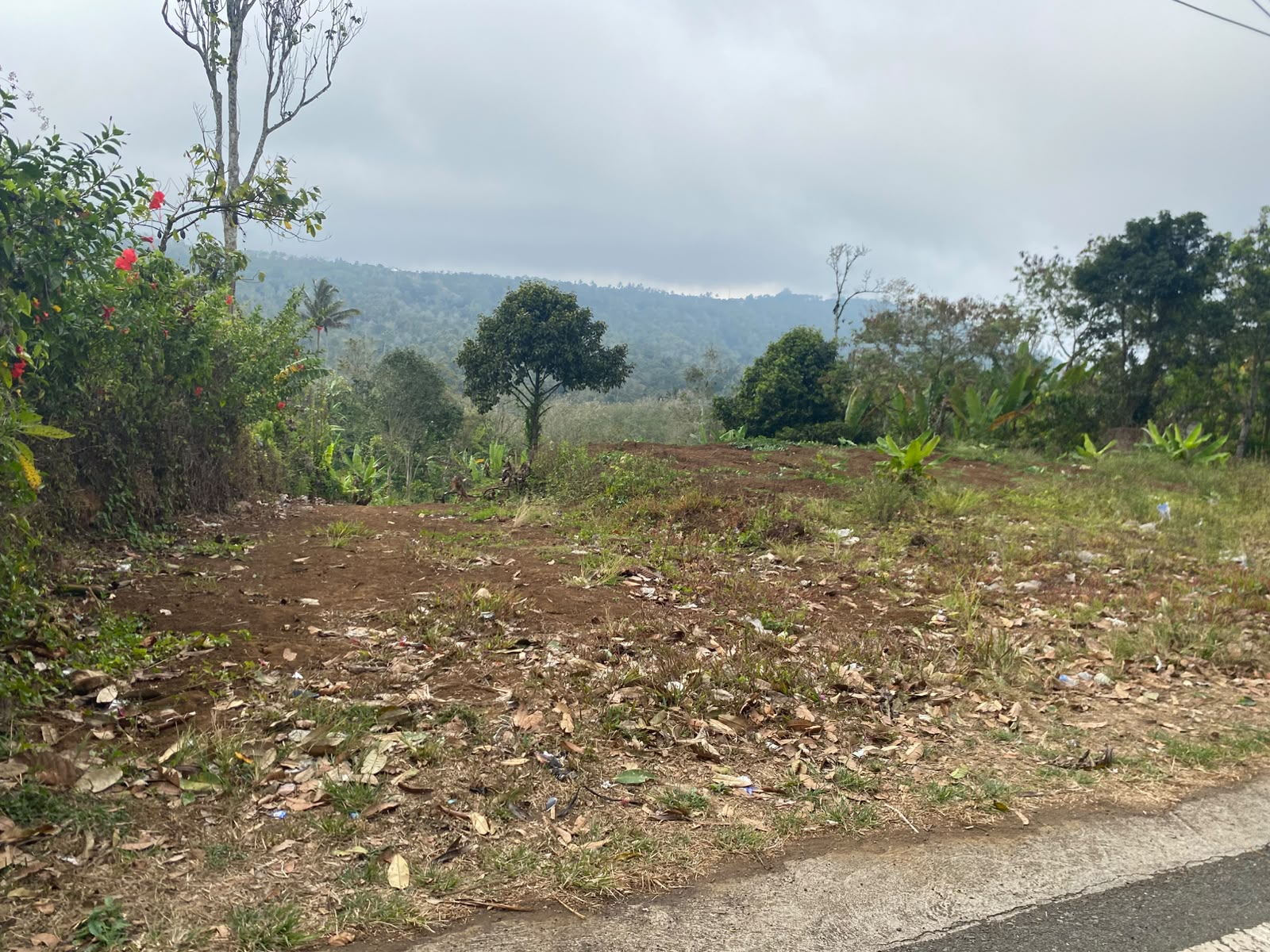 180 Are! Lahan & View Indah, ±5 km dari Ikon Patung Buddha Tidur Pupuan, Tabanan - Bali