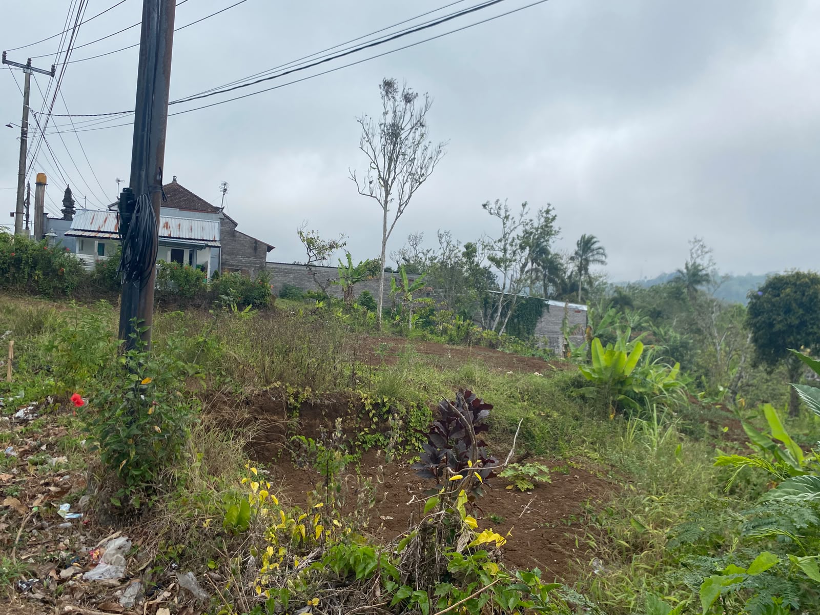180 Are! Lahan & View Indah, ±5 km dari Ikon Patung Buddha Tidur Pupuan, Tabanan - Bali