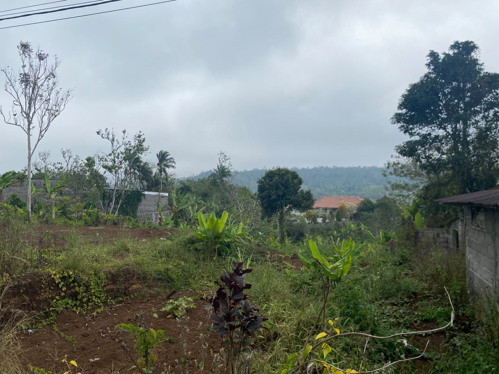 180 Are! Lahan & View Indah, ±5 km dari Ikon Patung Buddha Tidur Pupuan, Tabanan - Bali