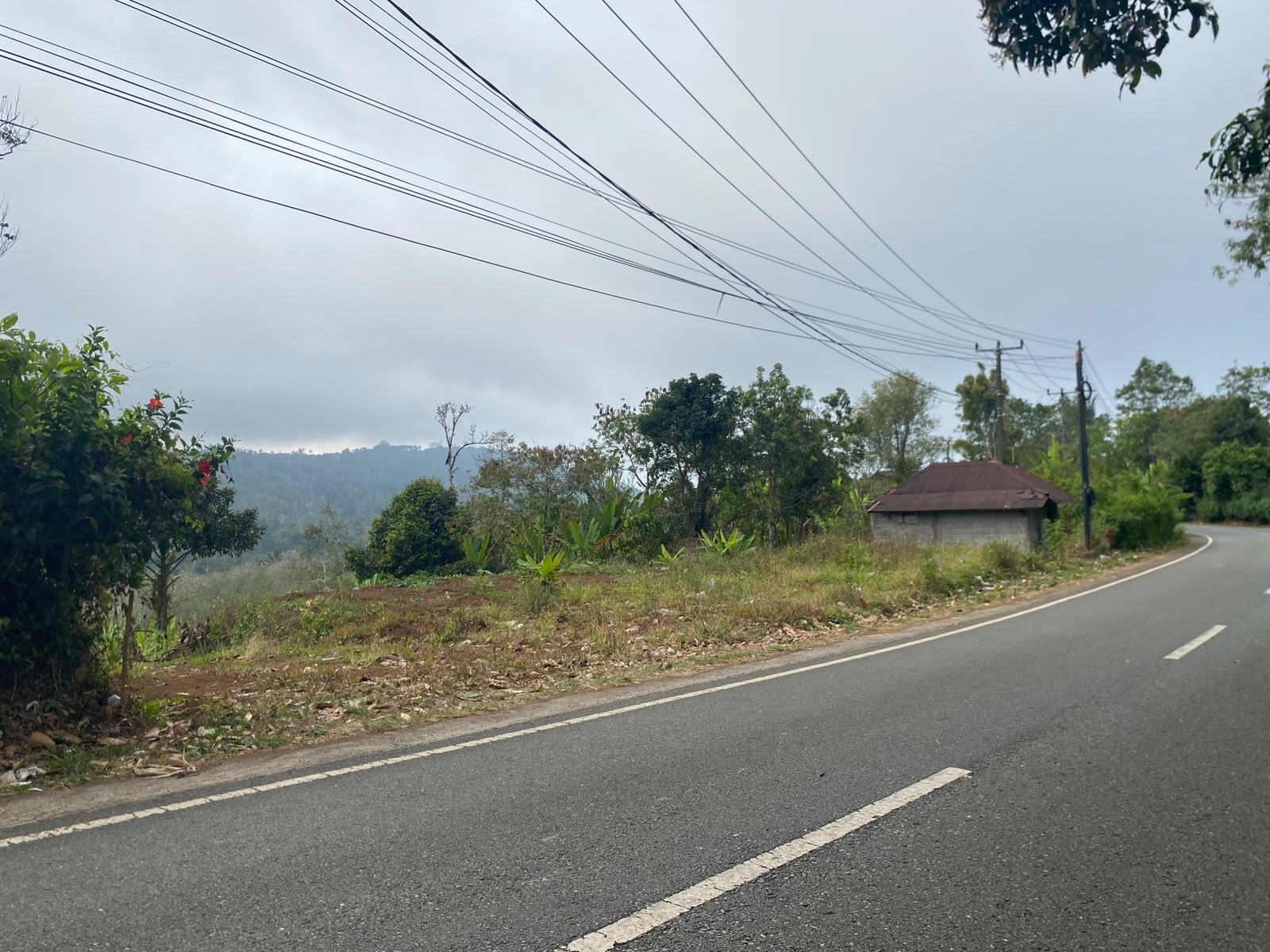 180 Are! Lahan & View Indah, ±5 km dari Ikon Patung Buddha Tidur Pupuan, Tabanan - Bali