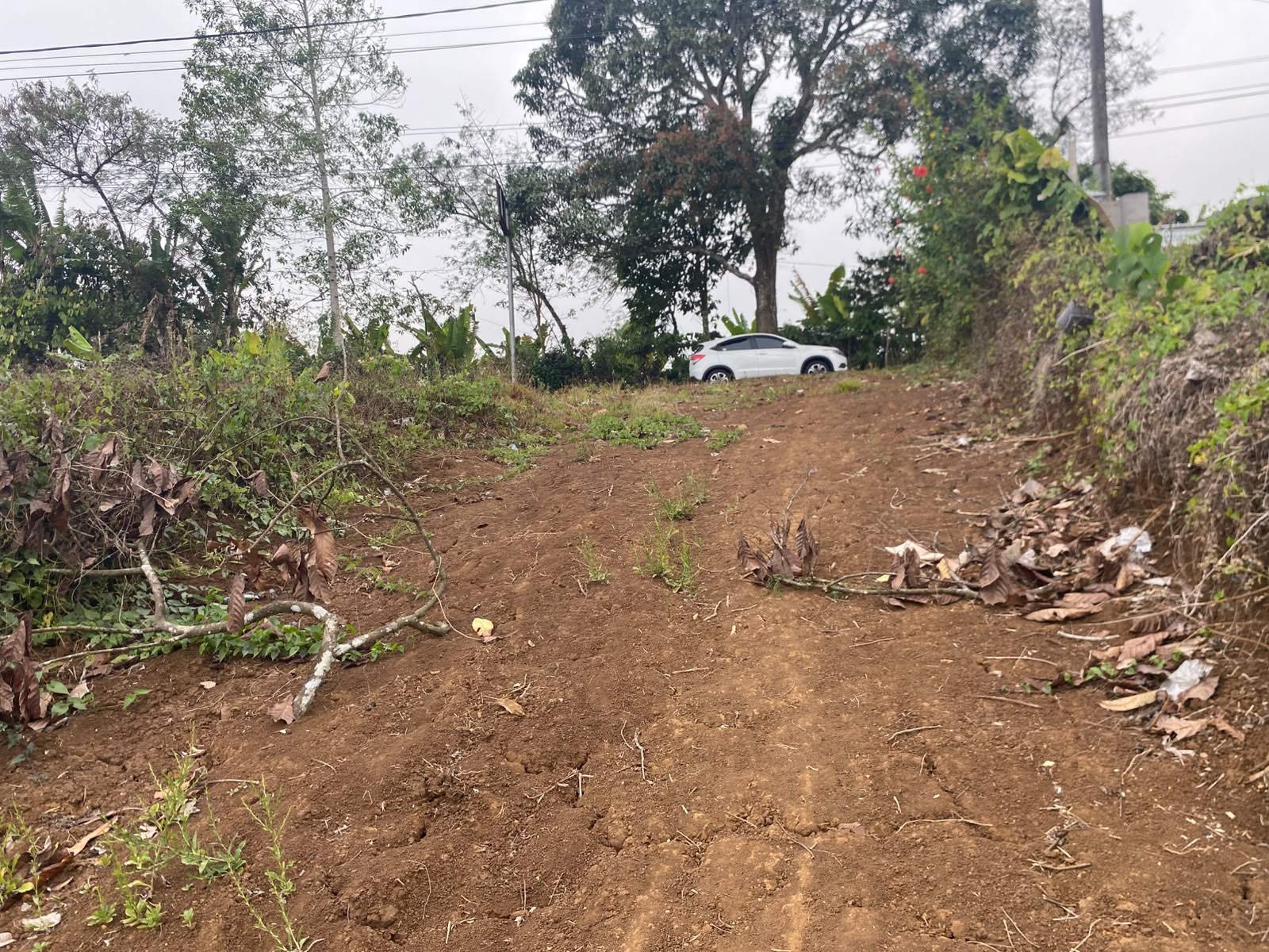 180 Are! Lahan & View Indah, ±5 km dari Ikon Patung Buddha Tidur Pupuan, Tabanan - Bali