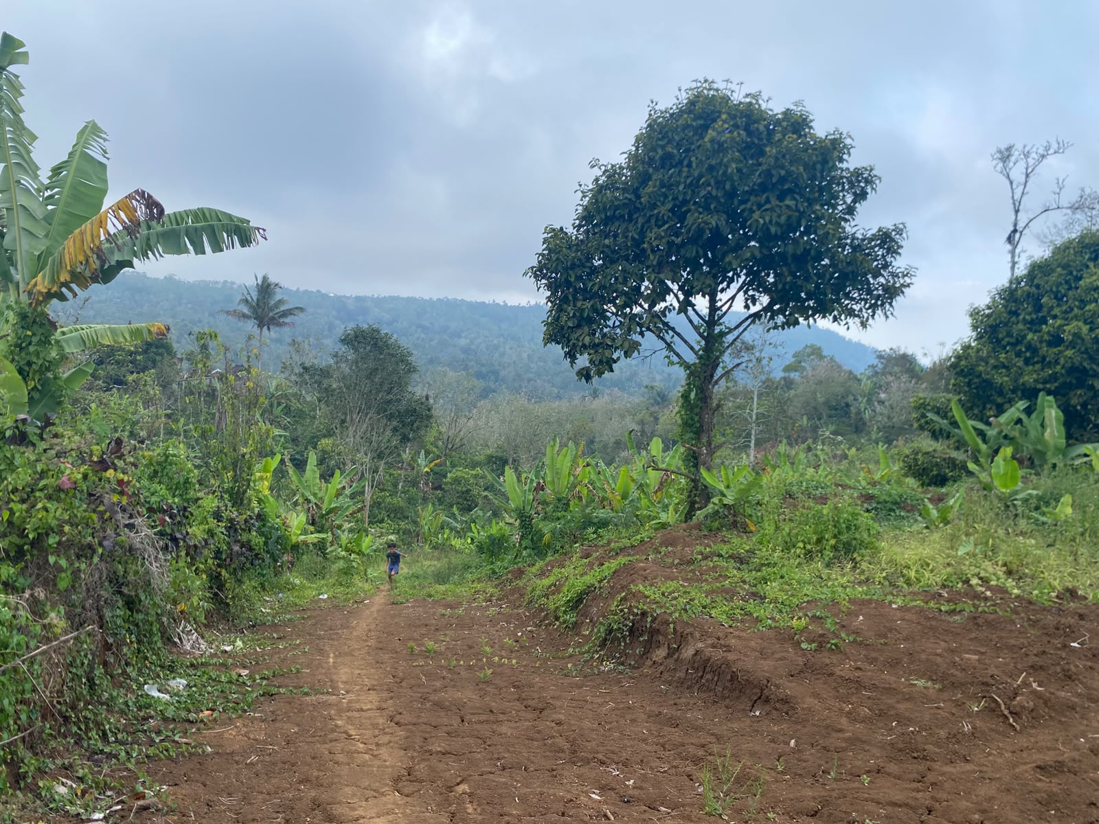 180 Are! Lahan & View Indah, ±5 km dari Ikon Patung Buddha Tidur Pupuan, Tabanan - Bali