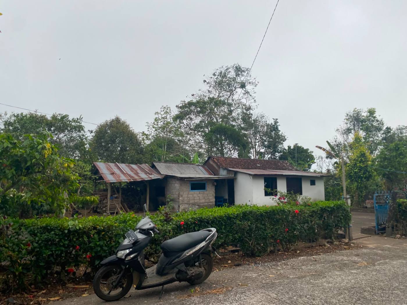 KARAKTER ALAM YANG KUAT | 60 ARE ZONA ITR KUNING – KEBUN KOPI AKTIF 2