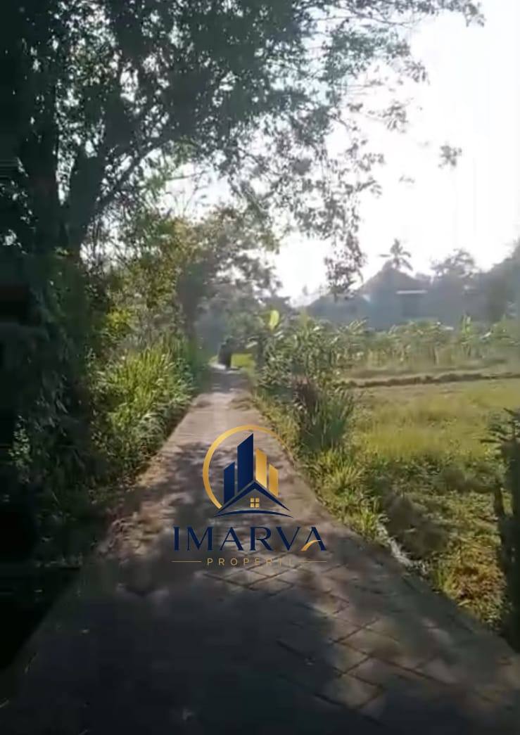 MILIKI LAHAN 1.400 M² DI ABIANSEMAL – PERTIMBANGKAN UNTUK INVESTASI JANGKA PANJANG! 3