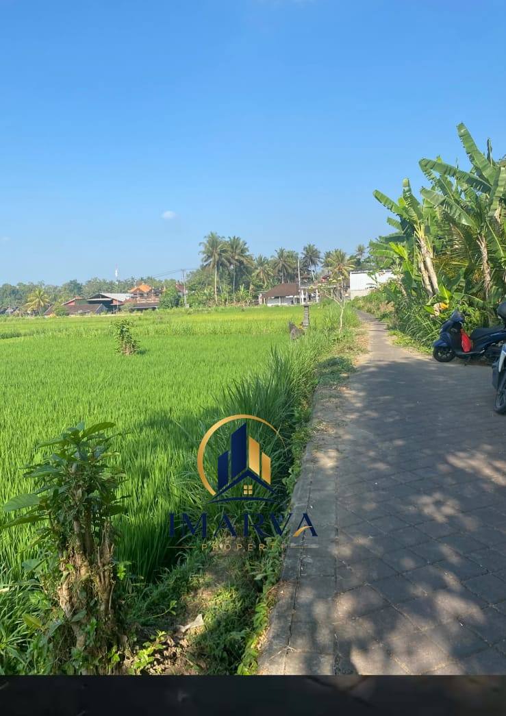 MILIKI LAHAN 1.400 M² DI ABIANSEMAL – PERTIMBANGKAN UNTUK INVESTASI JANGKA PANJANG! 2