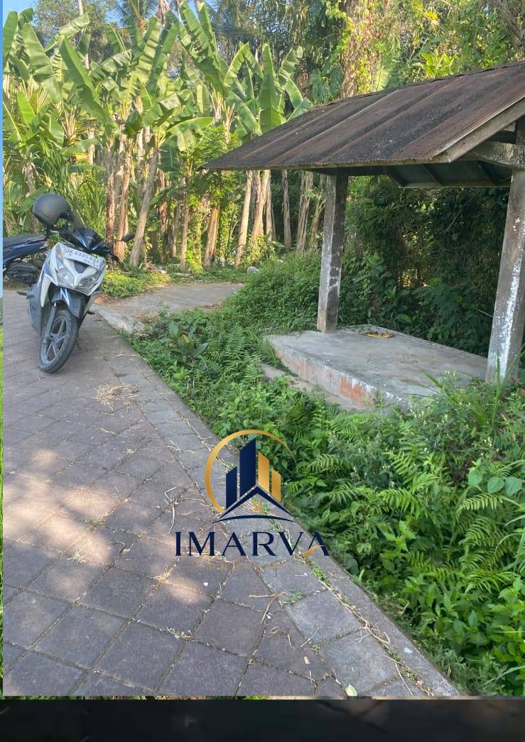 MILIKI LAHAN 1.400 M² DI ABIANSEMAL – PERTIMBANGKAN UNTUK INVESTASI JANGKA PANJANG! 5