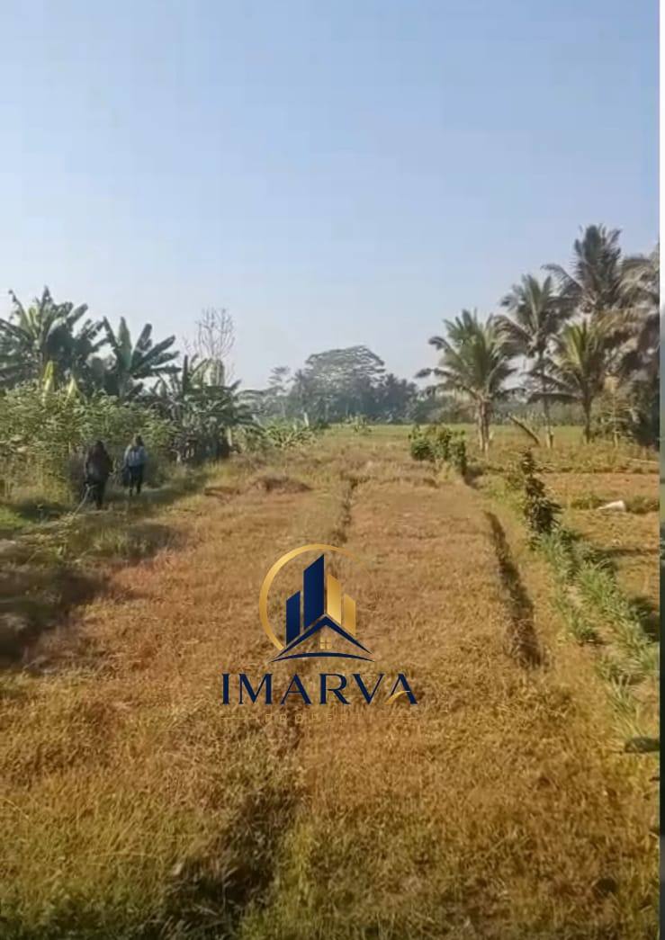 MILIKI LAHAN 1.400 M² DI ABIANSEMAL – PERTIMBANGKAN UNTUK INVESTASI JANGKA PANJANG! 6