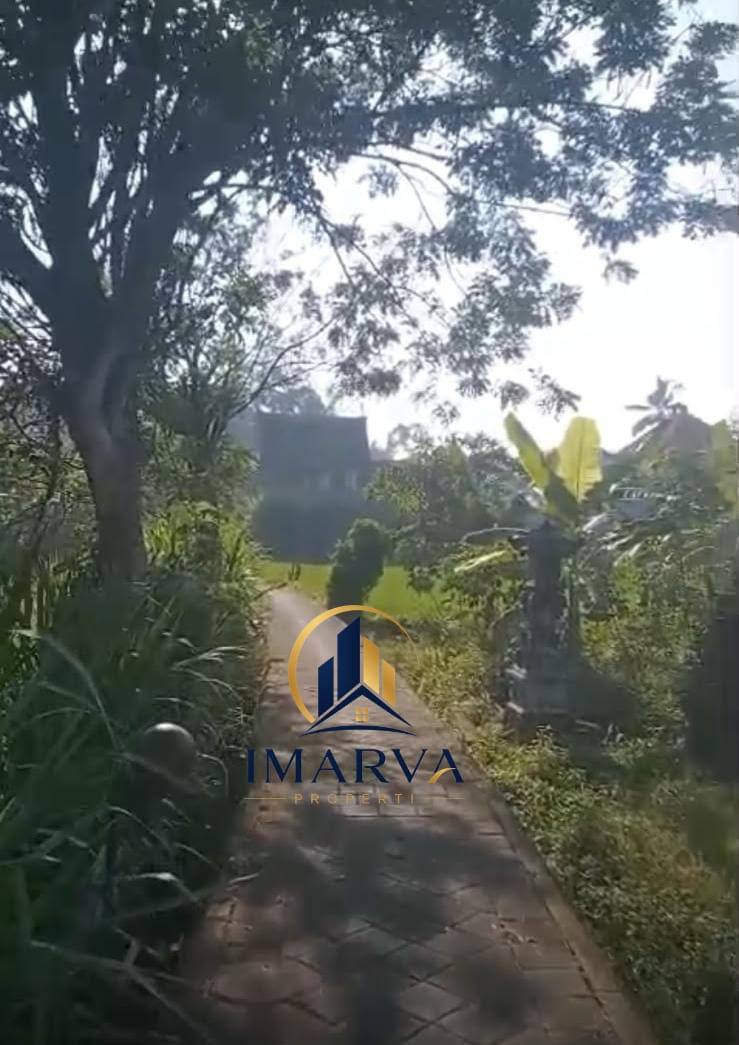 MILIKI LAHAN 1.400 M² DI ABIANSEMAL – PERTIMBANGKAN UNTUK INVESTASI JANGKA PANJANG! 4
