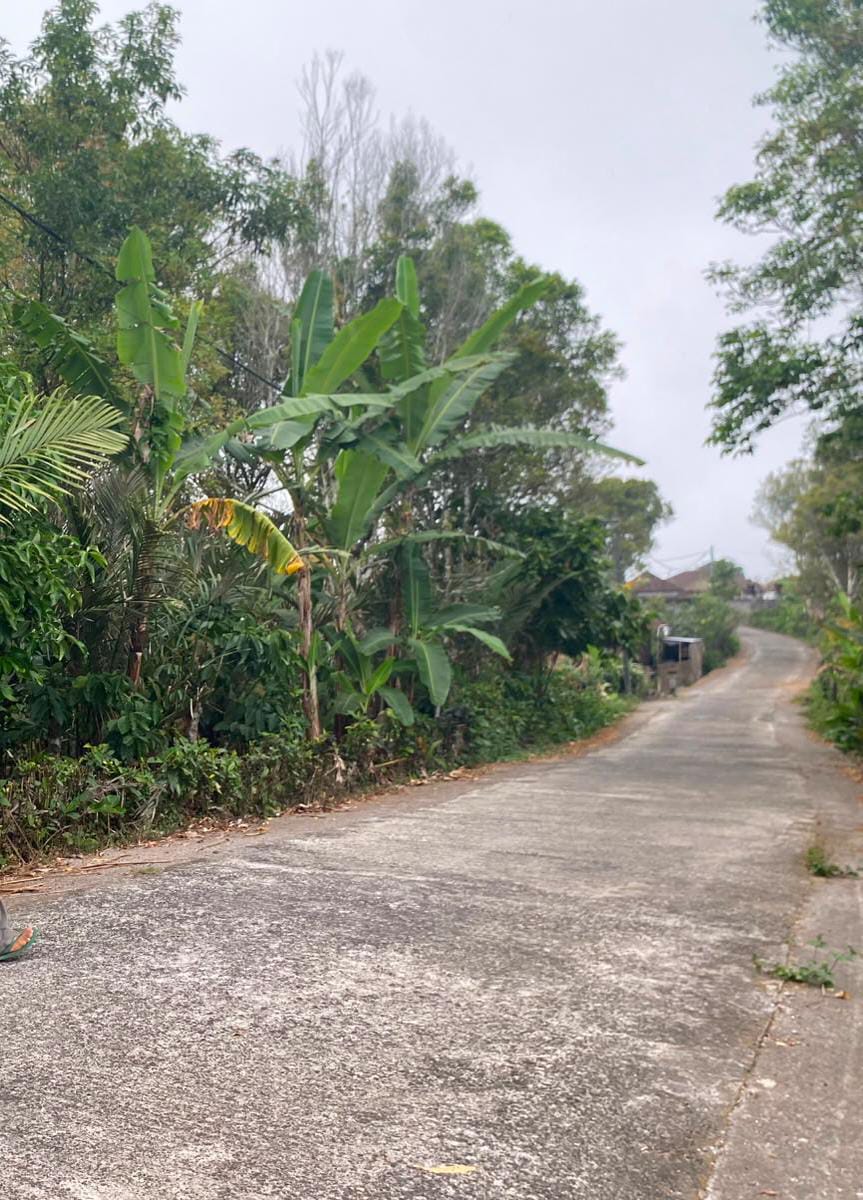 120 ARE LAHAN LUAS PINGGIR JALAN, KAWASAN PUPUAN - TABANAN